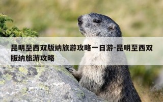 昆明至西双版纳旅游攻略一日游-昆明至西双版纳旅游攻略