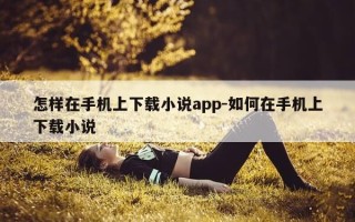 怎样在手机上下载小说app-如何在手机上下载小说