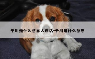 千川是什么意思大白话-千川是什么意思