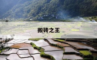 搬砖之王-搬砖之王猫咪打工模拟器破解版