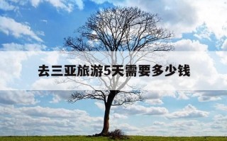 去三亚旅游5天需要多少钱-三亚旅行五天差不多花费多少