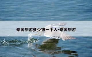 泰国旅游多少钱一个人-泰国旅游