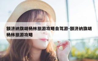 额济纳旗胡杨林旅游攻略自驾游-额济纳旗胡杨林旅游攻略