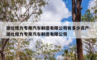 湖北程力专用汽车制造有限公司有多少资产-湖北程力专用汽车制造有限公司