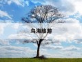 乌海旅游-乌海旅游团哪家最好
