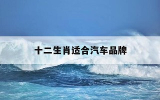 十二生肖适合汽车品牌-十二生肖适合开什么牌子的车