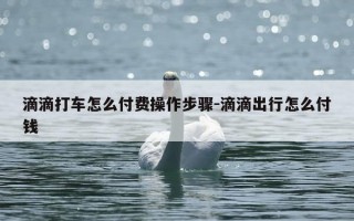 滴滴打车怎么付费操作步骤-滴滴出行怎么付钱