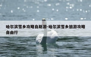 哈尔滨雪乡攻略自助游-哈尔滨雪乡旅游攻略自由行