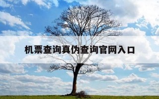 机票查询真伪查询官网入口-机票查询网站
