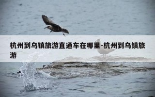 杭州到乌镇旅游直通车在哪里-杭州到乌镇旅游
