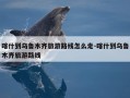 喀什到乌鲁木齐旅游路线怎么走-喀什到乌鲁木齐旅游路线