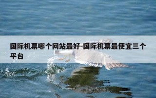 国际机票哪个网站最好-国际机票最便宜三个平台