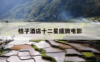 桔子酒店十二星座微电影-桔子酒店十二星座微电影免费观看