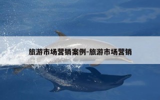 旅游市场营销案例-旅游市场营销