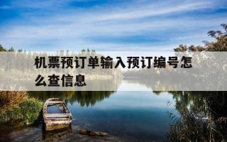 机票预订单输入预订编号怎么查信息-机票预订单怎么看