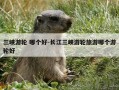 三峡游轮 哪个好-长江三峡游轮旅游哪个游轮好