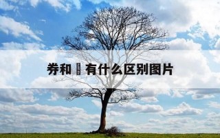 券和劵有什么区别图片-劵与券的区别用法