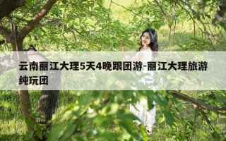 云南丽江大理5天4晚跟团游-丽江大理旅游纯玩团