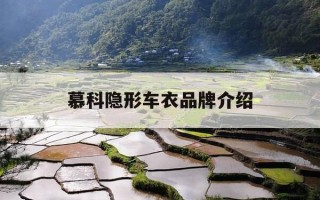 慕科隐形车衣品牌介绍-隐形车衣厂家排名