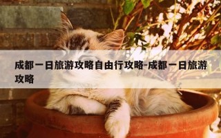 成都一日旅游攻略自由行攻略-成都一日旅游攻略