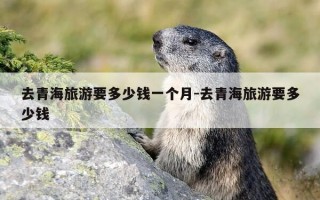 去青海旅游要多少钱一个月-去青海旅游要多少钱
