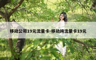 移动公司19元流量卡-移动纯流量卡19元