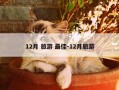 12月 旅游 最佳-12月旅游