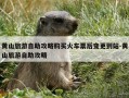 黄山旅游自助攻略购买火车票后变更到站-黄山旅游自助攻略