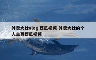 外卖大壮vlog 西瓜视频-外卖大壮的个人主页西瓜视频