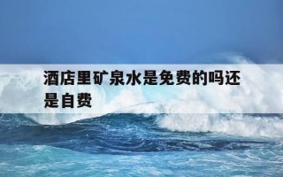 酒店里矿泉水是免费的吗还是自费-酒店里矿泉水是免费的吗还是自费的