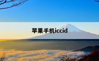 苹果手机iccid-苹果手机iccid显示无sim卡