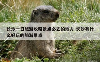长沙一日旅游攻略景点必去的地方-长沙有什么好玩的旅游景点