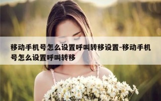 移动手机号怎么设置呼叫转移设置-移动手机号怎么设置呼叫转移