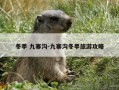 冬季 九寨沟-九寨沟冬季旅游攻略