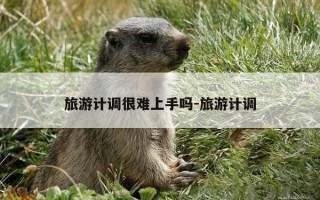 旅游计调很难上手吗-旅游计调