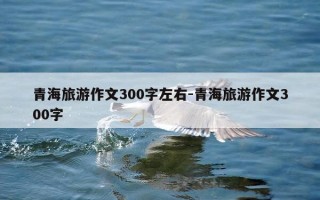 青海旅游作文300字左右-青海旅游作文300字