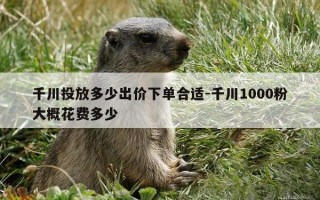 千川投放多少出价下单合适-千川1000粉大概花费多少
