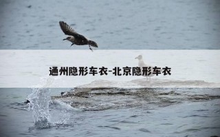 通州隐形车衣-北京隐形车衣