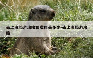 去上海旅游攻略和费用是多少-去上海旅游攻略