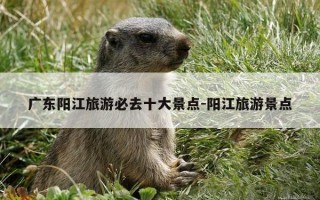 广东阳江旅游必去十大景点-阳江旅游景点