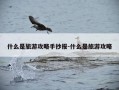 什么是旅游攻略手抄报-什么是旅游攻略