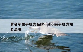 著名苹果手机壳品牌-iphone手机壳知名品牌
