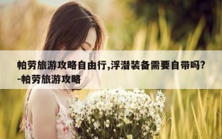 帕劳旅游攻略自由行,浮潜装备需要自带吗?-帕劳旅游攻略