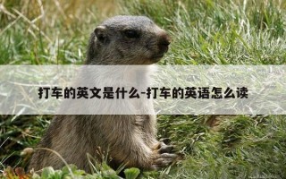 打车的英文是什么-打车的英语怎么读