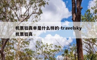 机票验真单是什么样的-travelsky机票验真