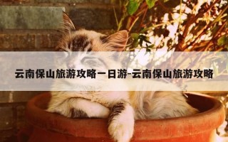 云南保山旅游攻略一日游-云南保山旅游攻略