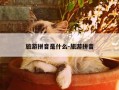 旅游拼音是什么-旅游拼音