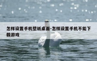 怎样设置手机壁纸桌面-怎样设置手机不能下载游戏