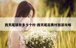 西天尾镇有多少个村-西天尾后黄村旅游攻略