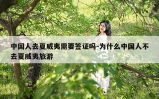 中国人去夏威夷需要签证吗-为什么中国人不去夏威夷旅游
